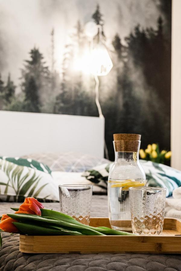 Apartament Rezydencja Vintage No1 أولشتين المظهر الخارجي الصورة